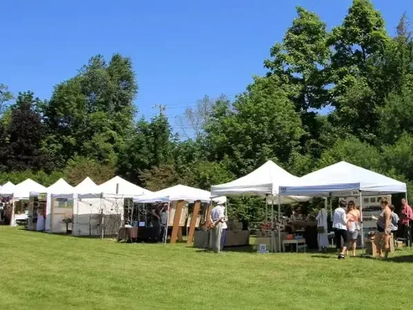 Erakusketa-karpen erabilerak